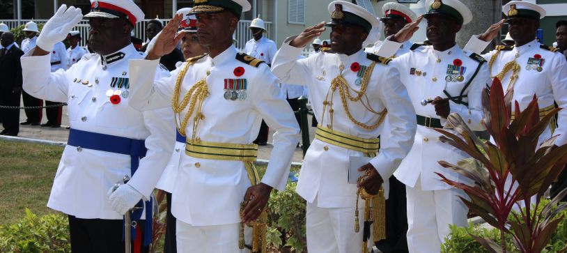 Defence Force Joins in Remembrance Day Celebrations